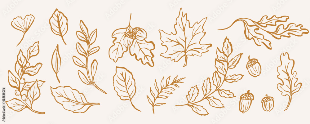 Hand drawn whimsical autumn leaves collection