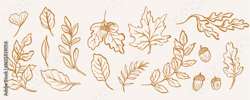 Hand drawn whimsical autumn leaves collection