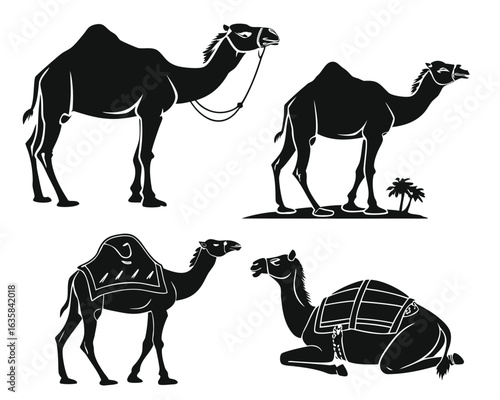Vector art of collection of camel silhouettes isolated on white background, showcasing different poses and a camel with saddle