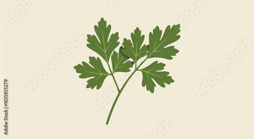 Isolated Parsley Sprig on Beige Background for Recipe Illustration
