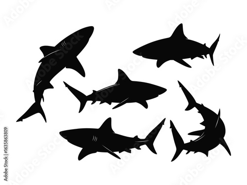 Shadow Sharks: Silhouette of sharks in the ocean, capturing the elegance and power.