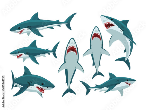 Predatory Shark Illustration Set: A captivating illustration set showcases various poses of the majestic great white shark, capturing its formidable presence. Detailed features and dynamic action