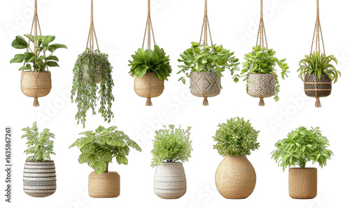Hanging potted plants in various styles