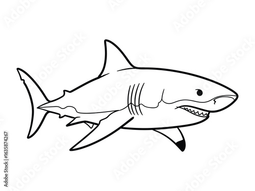 Great White Shark Illustration: A stylized, grayscale depiction of a powerful great white shark, showcasing its sleek form, sharp teeth, and formidable presence.
