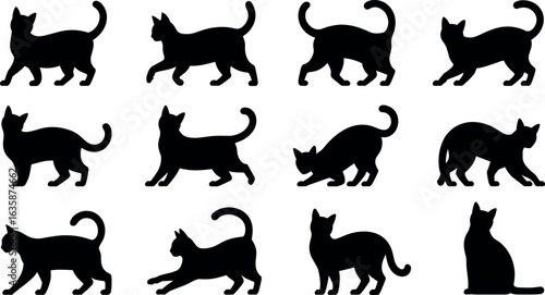 Collection of silhouetted feline figures showcasing diverse poses and movements against a white background