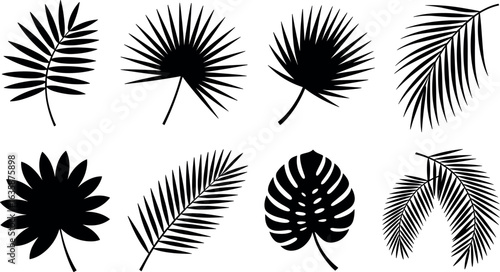 Wallpaper Mural Collection of stylized black silhouette tropical palm leaves and monstera leaves on a white background Torontodigital.ca