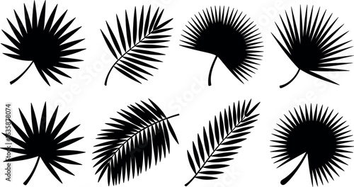 Collection of eight distinct black palm frond silhouettes showcasing various fan and feather leaf shapes and arrangements