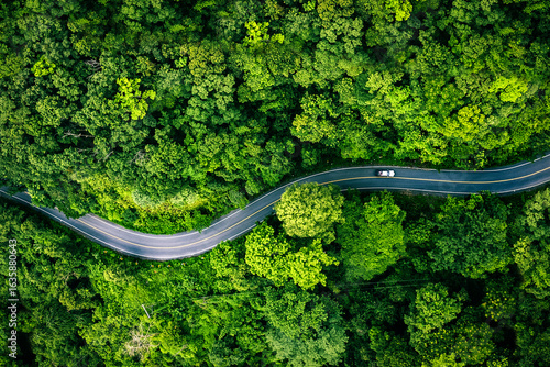 Aerial view of a road in the middle of the forest , road curve construction up to mountain