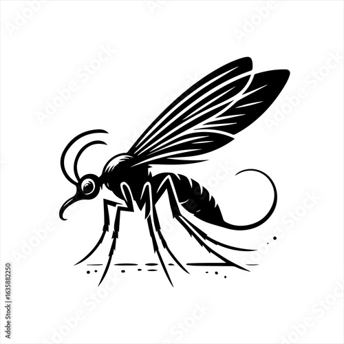 Black and white illustration of a mosquito insect
