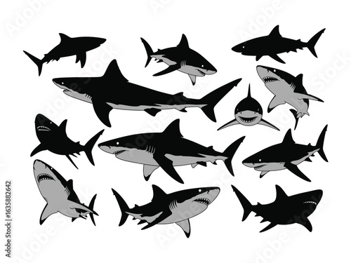 Shark Silhouette Pack: A curated assortment of shark silhouettes, presenting a captivating visual study of the ocean's apex predators in black and white, perfect for diverse design needs.