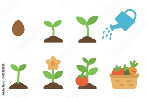 Vegetable Growth Stages. Flat vector mini-illustrations Growing vegetables step by step in colors children's