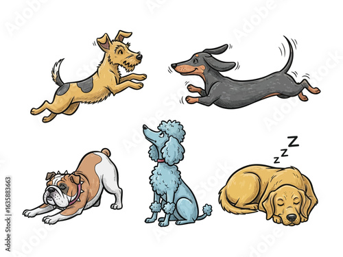 Playful Companions: A charming illustration showcasing five distinct dog breeds in various poses. This artwork exudes a heartwarming vibe, capturing the essence of canine companionship.
