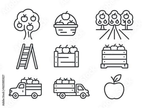 Apple Harvest Icons. Outline icon set of orchard and apple harvest: apple tree, picking basket, orchard rows,