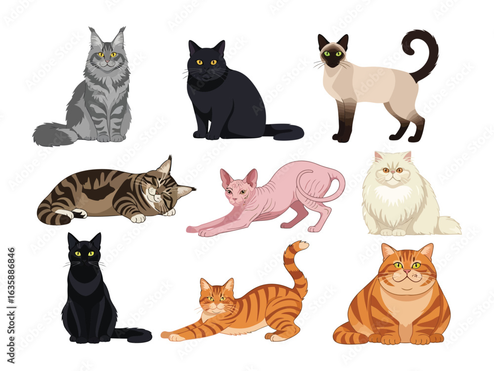 Fototapeta premium Variety of Cat Breeds Collection: Captivating illustration featuring diverse cat breeds, each with unique characteristics and charm, showcase the beauty and personality of domestic felines.