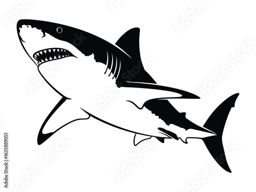 Apex Predator's Graphic: A fierce and formidable great white shark, presented in striking black and white illustration, showcases its powerful presence and natural hunting prowess.