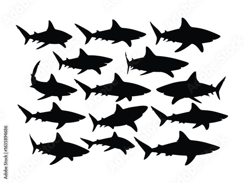 Silent Hunters: A striking silhouette of a formidable shark silhouette against a clear backdrop. They represent the raw, untamed power of the ocean.