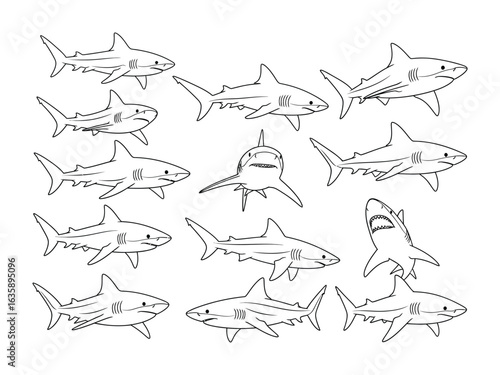 Oceanic Hunters: A striking illustration showcases a collection of sleek shark profiles in various perspectives, highlighting the unique form and fierce demeanor of these apex predators.