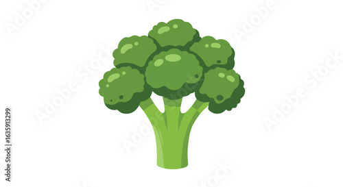 Isolated broccoli on white. Green vegetable, with florets and stem, on white background