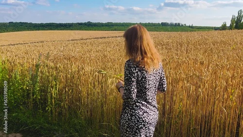 A girl walks near a field of growing wheat, unripe and unripe, harvest time and grain harvest, against the background of a blue sky and clouds