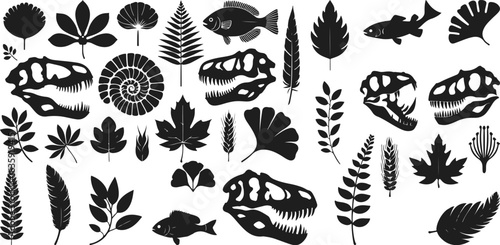 Prehistoric nature fossil leaves skull fish silhouette vector collection