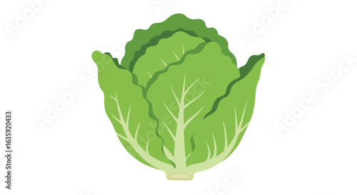 Crisp iceberg lettuce. Fresh, green leaves with distinct veins. Healthy and refreshing