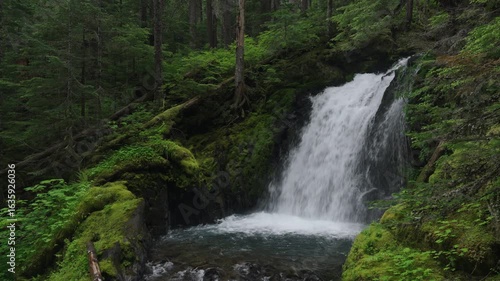 waterfall in the woods