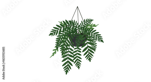 Hanging Fern Fern plant in a dark, hanging pot against a white background. Dark-green leaves