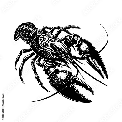 Detailed black and white illustration of a clawed crustacean