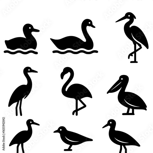 Water and Shore Birds. Solid style icons of water and shore birds: duck, goose, swan, heron, egret, flamingo, pelican, sandpiper,