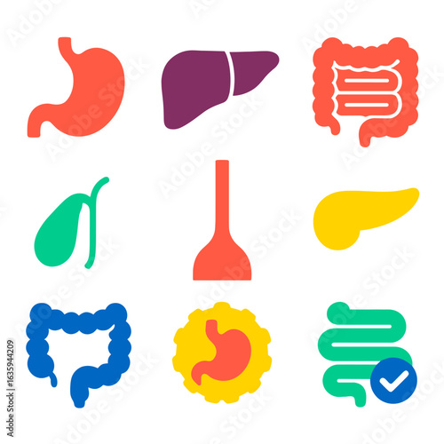 Digestive System Icons. Flat vector icons of digestive system components: stomach, liver, intestines, gallbladder, esophagus,