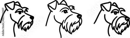 Miniature schnauzer dog head side profile outline vector
