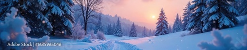 Ethereal, soft snowfall gently illuminates a winter landscape at twilight Subtle light creates a magical, peaceful atmosphere Perfect for winter, holiday, or nature themes , holiday, delicate, stars