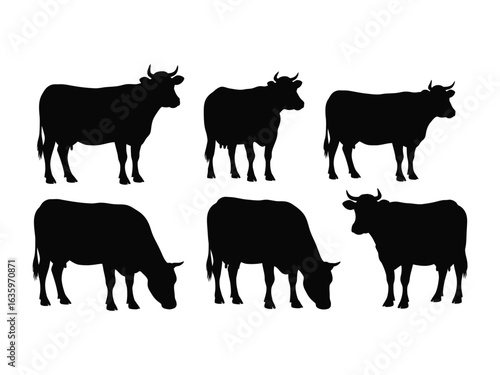 Cattle Silhouette: A captivating collection of cattle silhouettes in varied poses, showcasing the raw beauty of nature's artistry in monochrome form, set against a crisp, uncluttered backdrop.