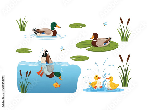 Duck's Joyful Summer: A charming illustration captures a family of ducks enjoying a sunny day, featuring scenes of playful interaction in a pond.