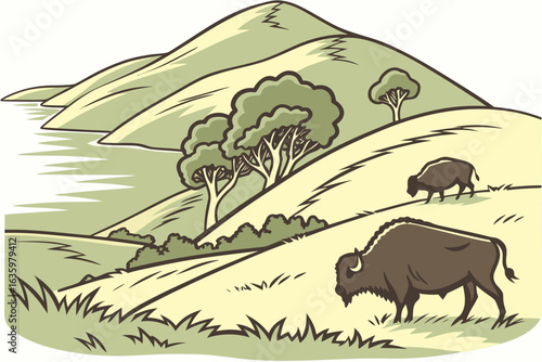 Bison graze at Catalina Island, California, descendants of movie props left behind decades ago.