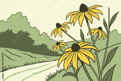 Black-eyed Susans are Maryland’s state flower, recognized by their yellow petals and dark centers, commonly seen across fields and roadsides.
