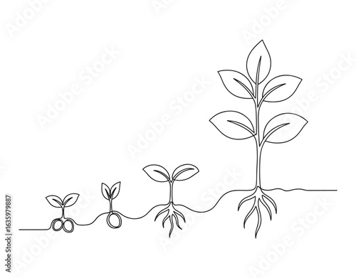 A seamless single line drawing representing the growth stages of a plant. Seeds sprouting from the ground. Garden plant seedlings and sprouts. Editable stroke vector graphic illustration.