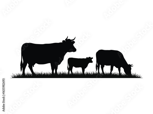 Cattle silhouette: A tranquil countryside scene of cattle grazing peacefully in a field, where the gentle curve of the landscape complements the animals' calm presence.