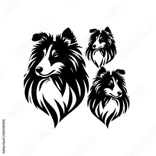 Stylized silhouette of three shetland sheepdogs isolated on white background