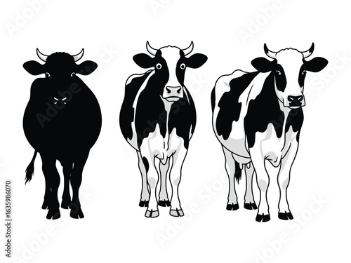 Farm Trio: Featuring three distinct cow illustrations—silhouette, striking black-and-white markings, and a classic view—perfect for design and conceptual projects.