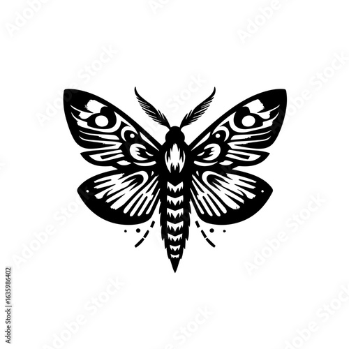 Detailed black and white moth illustration isolated on white background
