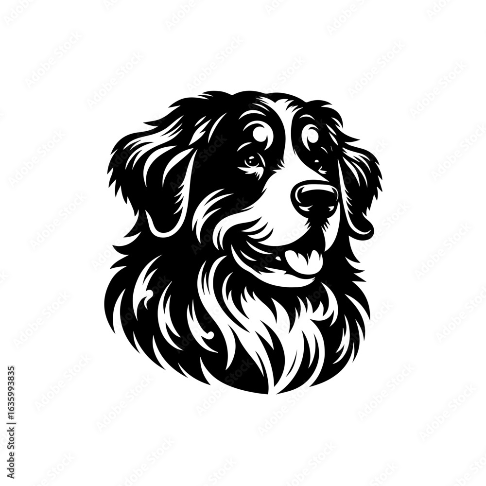Fototapeta premium Bernese mountain dog portrait, stylized illustration, isolated on white background