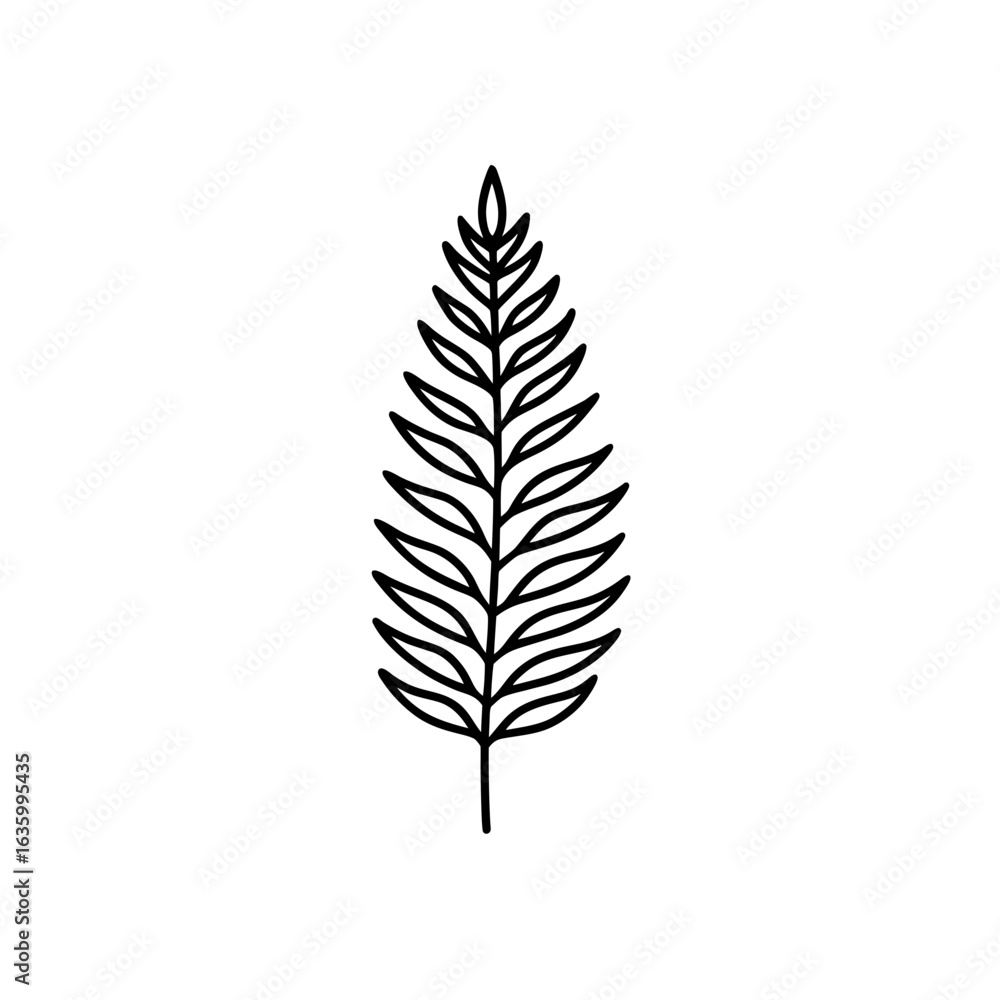 Simple fern outline on transparent background Simple fern outline on transparent background