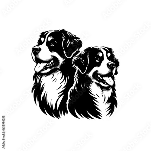 Two bernese mountain dogs heads logo isolated on white background
