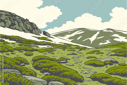 Colorado’s high-altitude tundra supports fragile mosses and lichens found above 11,000 feet.