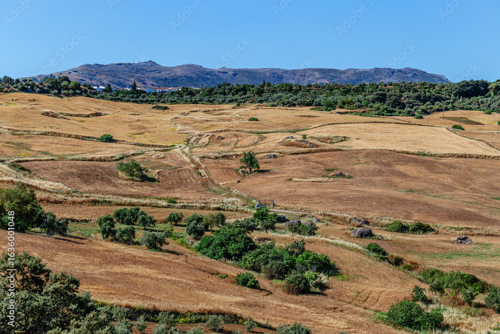 Obraz premium Landscape near the city of Ronda, Andalusia, Spain