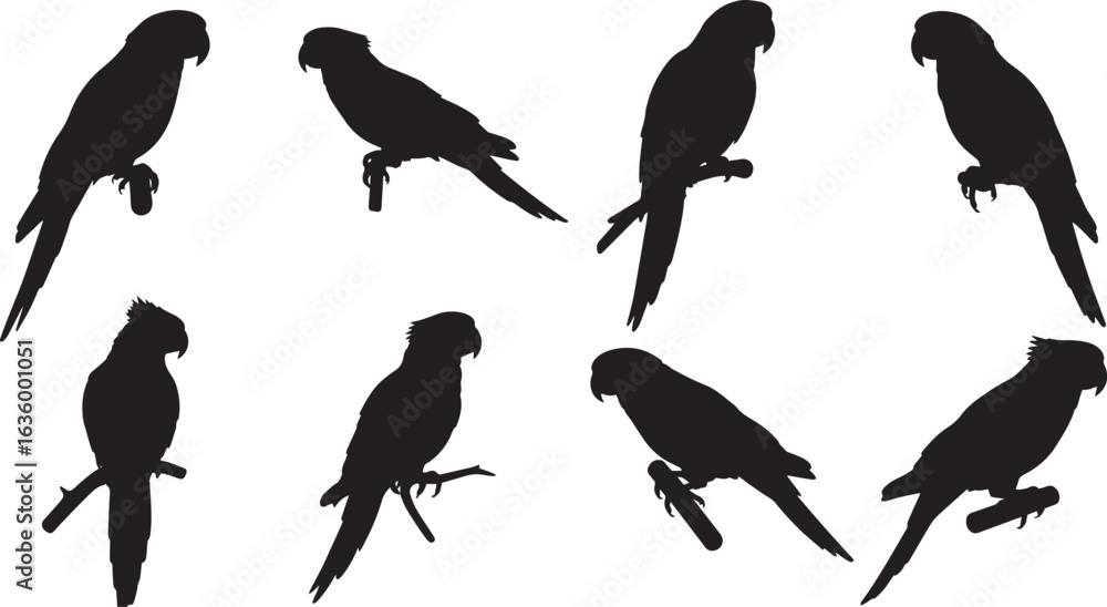Fototapeta premium Parrot silhouettes set vector illustration