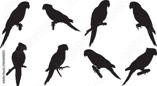 Parrot silhouettes set vector illustration