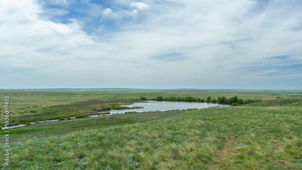 Fototapeta premium Expansive green landscape with a serene pond surrounded by lush grass and trees under a bright blue sky, showcasing the beauty of nature and tranquility