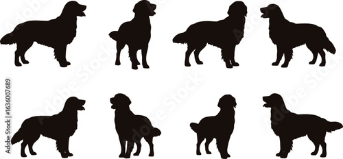 Golden retriever silhouettes dog vector set